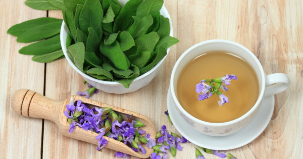 Dajte si šálku či dve: Šalviový čaj výborne chutí a účinkov má na rozdávanie!